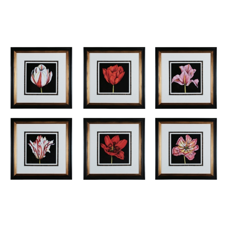 Tulip Profusion Framed Wall Art - Set of 6