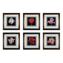 Tulip Profusion Framed Wall Art - Set of 6