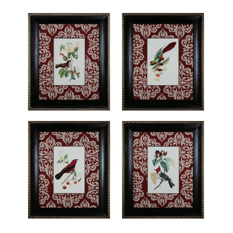Cuvier Exotic Birds Framed Wall Art - Set of 4