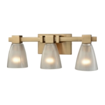 Ensley 20'' Wide 3-Light Vanity Light