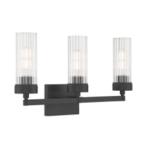 Lida 21'' Wide 3-Light Vanity Light