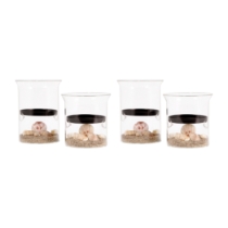 Gibson Candleholder - Set of 2