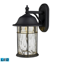 Lapuente 14'' High 1-Light Outdoor Sconce
