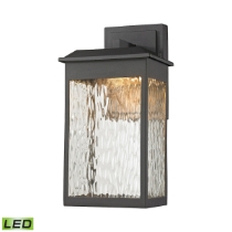 Newcastle 13'' High 1-Light Outdoor Sconce