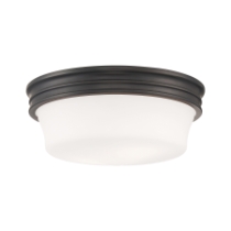 Galen 14'' Wide 3-Light Flush Mount