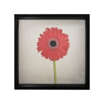 Gerber Daisy Framed Wall Art