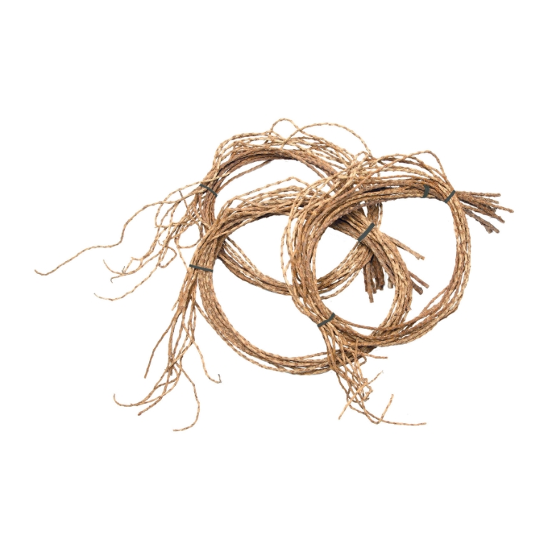 Tail Coil Object