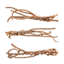Banana Stem Object - Set of 3
