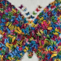 Butterfly Dimensional Wall Art