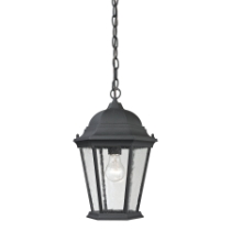 Temple Hill 10'' Wide 1-Light Outdoor Pendant