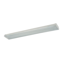 Fluke 48'' Wide 2-Light Flush Mount