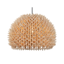 Durian 14'' Wide 1-Light Pendant