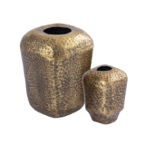 Organic Vase - Set of 2