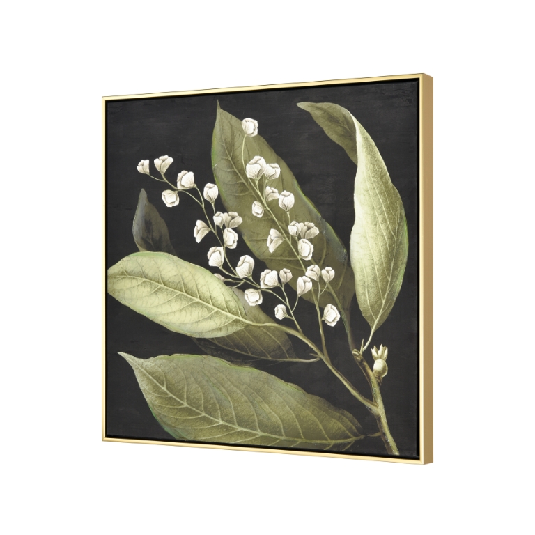 Botanical Study I Framed Wall Art