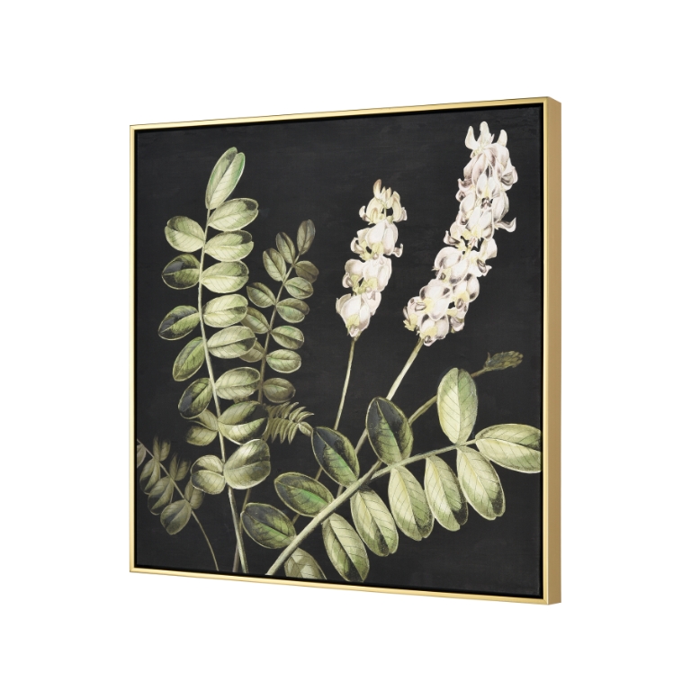 Botanical Study II Framed Wall Art