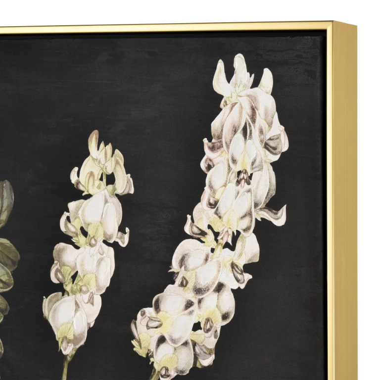 Botanical Study II Framed Wall Art