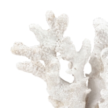 Coral Sculpture - Set of 2