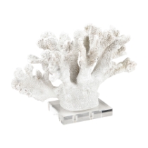 Coral Sculpture - Set of 2