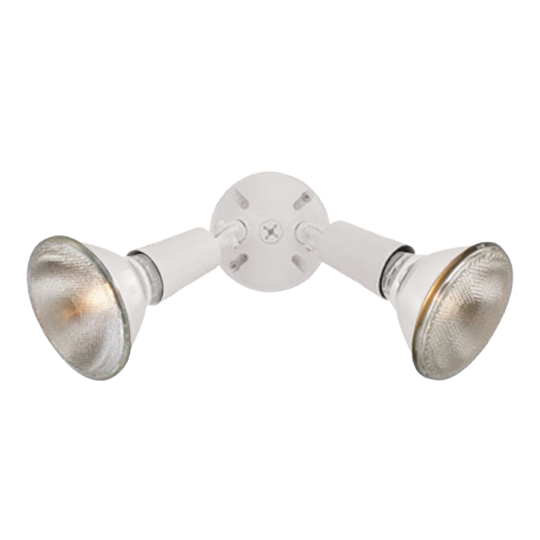 Outdoor Essentials 6'' High 2-Light Outdoor Sconce