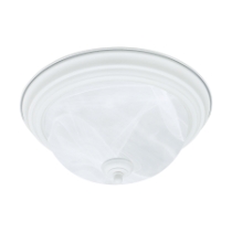 Ceiling Essentials 14'' Wide 2-Light Flush Mount